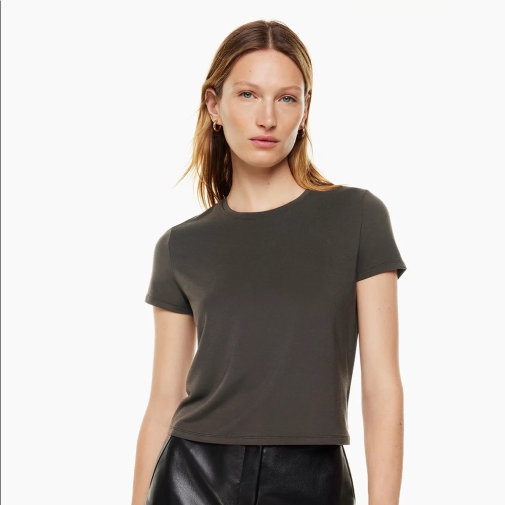 Aritzia Babaton Everyday T-Shirt